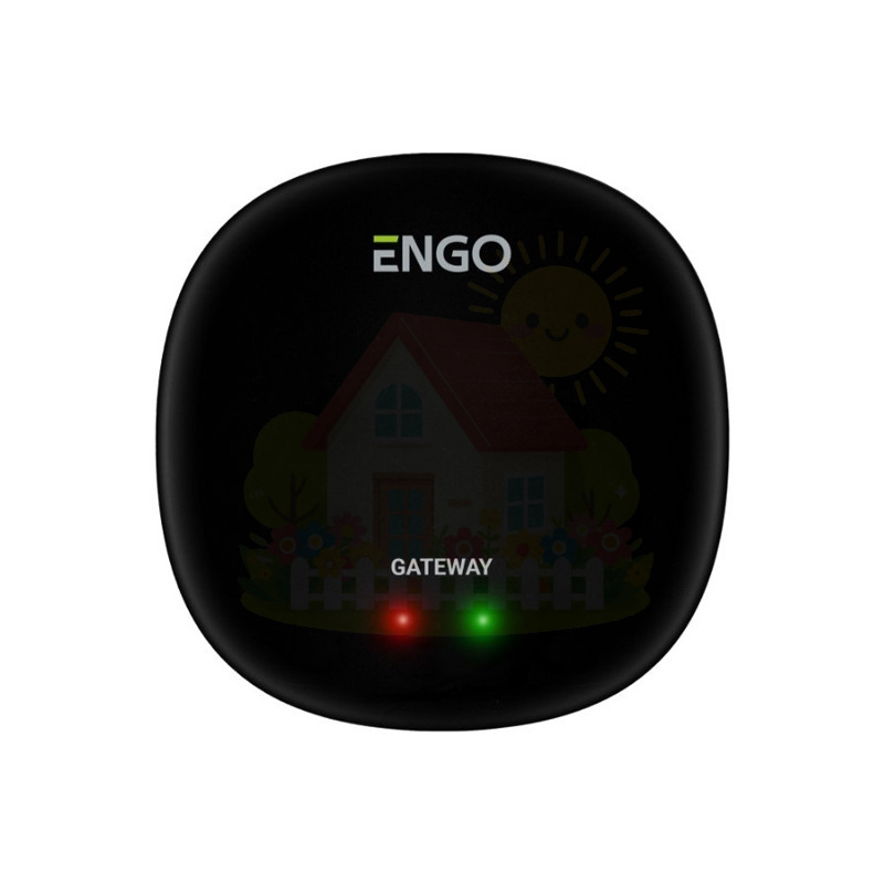 Инженерная сантехника Универсальный интернет шлюз ENGO Zigbee Smart — детальное фото