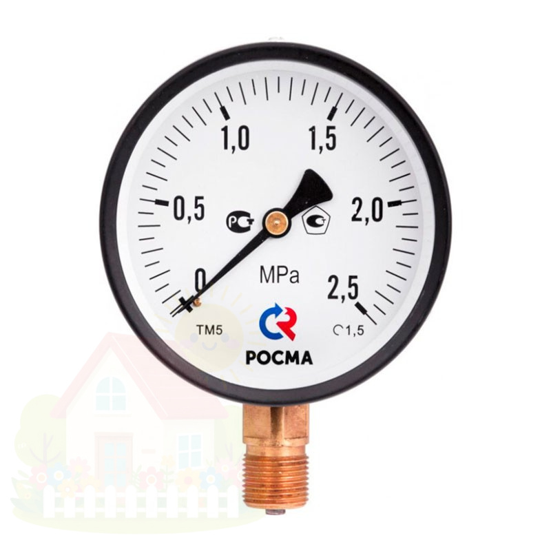 Купить Манометр радиальный Росма ТМ-510 P.00 100/10 (1/2" 100 мм, 0-10 бар, 1,5) — фото товара в каталоге
