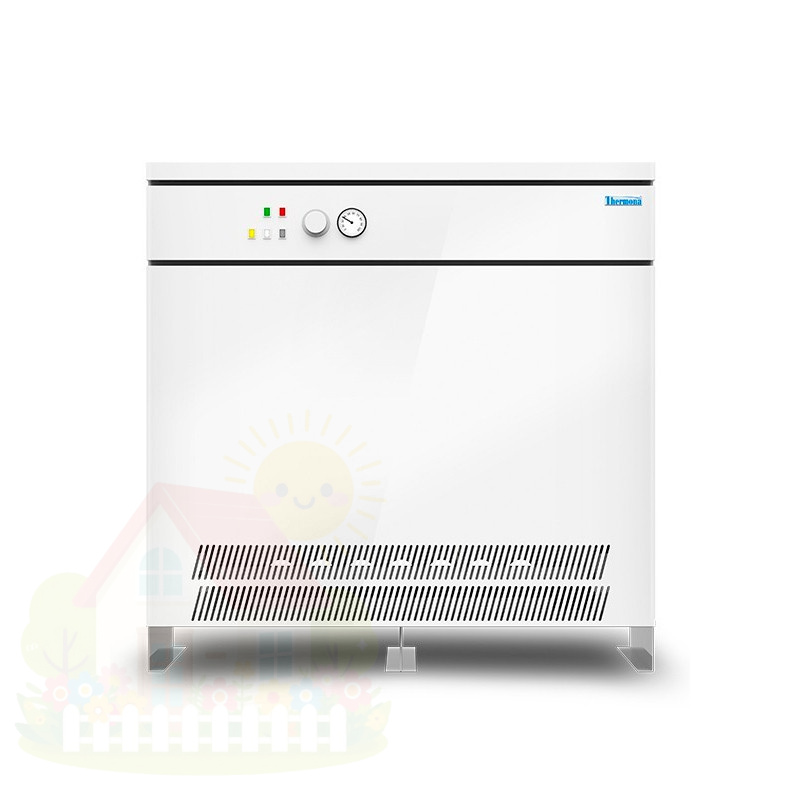 Купить Напольный газовый котел Thermona Therm 120 E — фото товара в каталоге