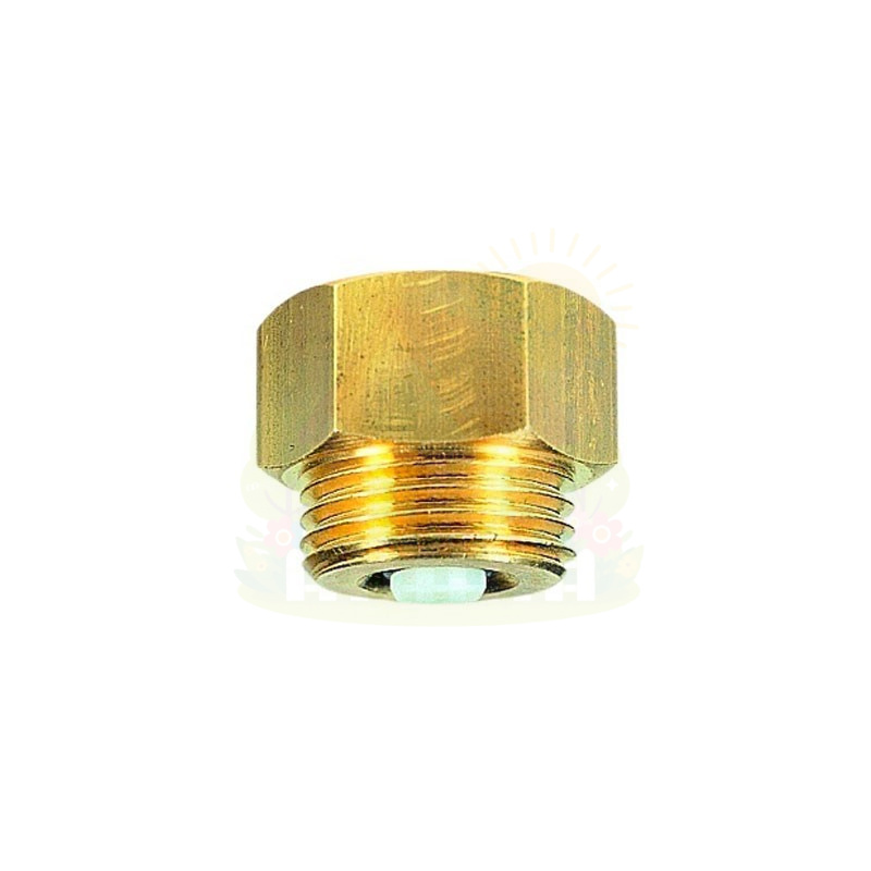 Инженерная сантехника Клапан Watts F+R998 1/4"х1/2" для монтажа/демонтажа манометра — детальное фото